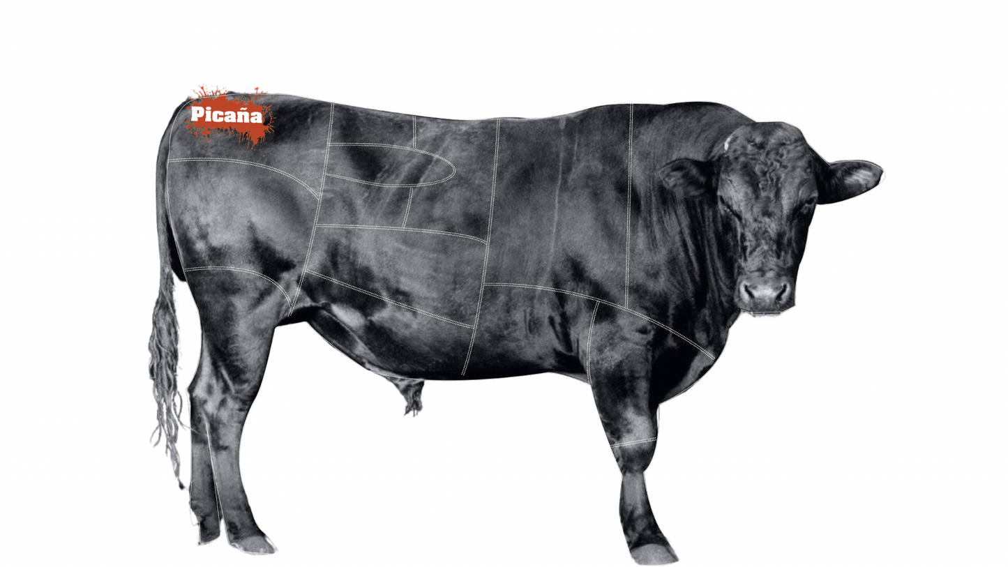 Picaña Black Angus Uruguaya - UMI