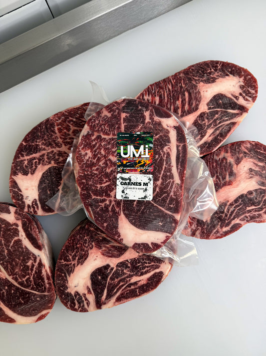 Diezmillo Black Angus Uruguayo - UMI