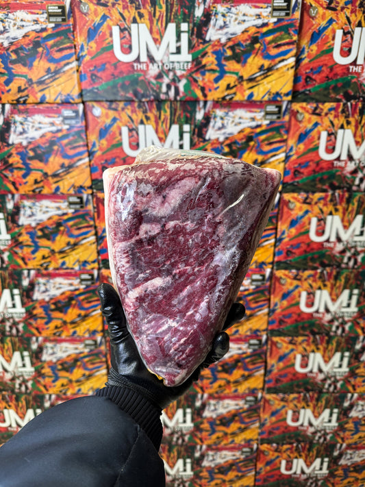 Picaña Black Angus Uruguaya - UMI